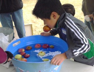 Bobbing for Apples Fall 2012 Cider Fest