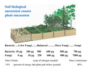 rc-plant-succession-slide-elaine-ingham-life-in-the-soil-oxford-keynote-2014