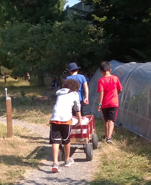 3 people pushing a wagon down the path